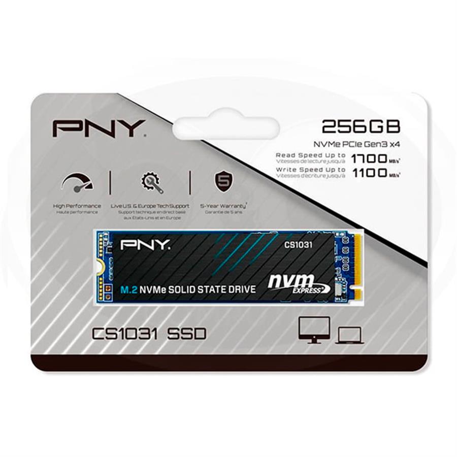 Disco Sólido Interno PNY 256GB SSD M2